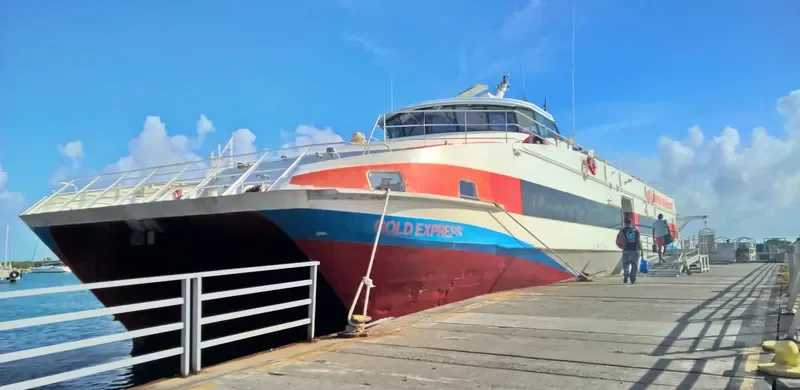 GOLD EXPRESS Passenger Ship IMO 9336531 photo 3