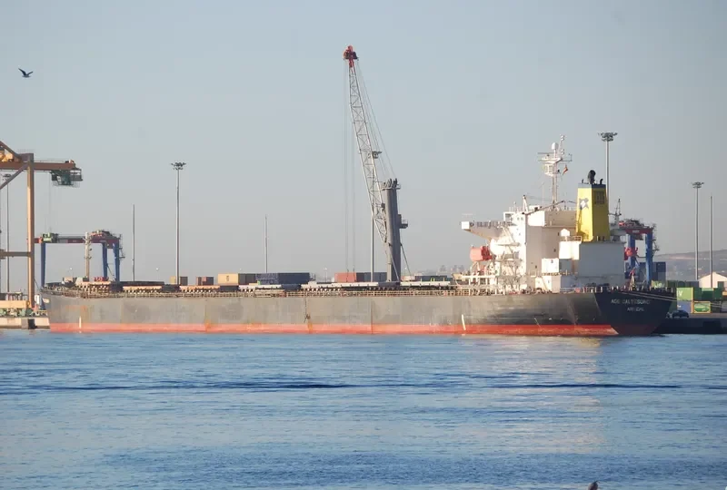 ADS GALTESUND Bulk Carrier IMO 9336581 photo 2