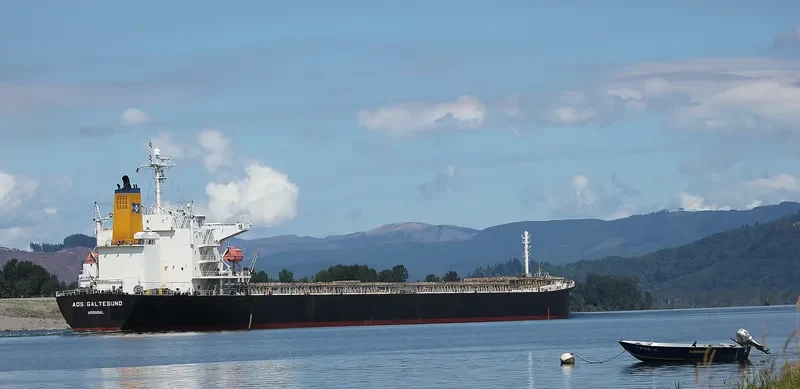 ADS GALTESUND Bulk Carrier IMO 9336581 photo 3