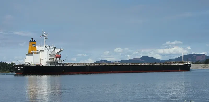 ADS GALTESUND Bulk Carrier IMO 9336581 photo 4