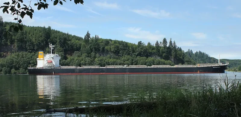 ADS GALTESUND Bulk Carrier IMO 9336581 photo 5