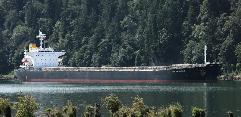 ADS GALTESUND Bulk Carrier IMO 9336581 photo 6