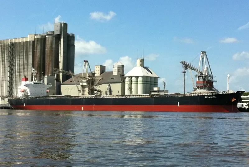 ADS GALTESUND Bulk Carrier IMO 9336581 photo 7