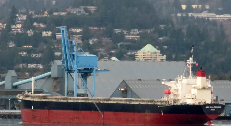 ADS GALTESUND Bulk Carrier IMO 9336581 photo 8