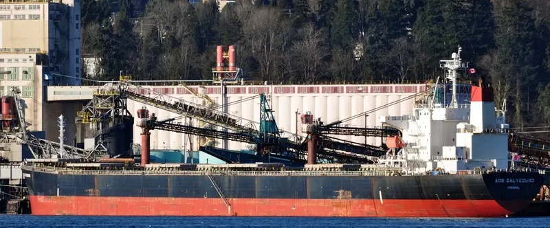 ADS GALTESUND Bulk Carrier IMO 9336581 photo 9
