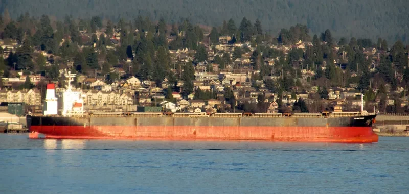 ADS GALTESUND Bulk Carrier IMO 9336581 photo 10