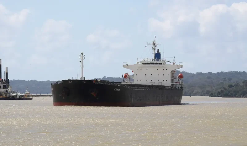 CANEA Bulk Carrier IMO 9336608 photo 3