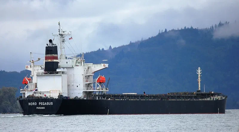 CANEA Bulk Carrier IMO 9336608 photo 5
