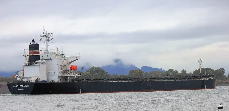 CANEA Bulk Carrier IMO 9336608 photo 6