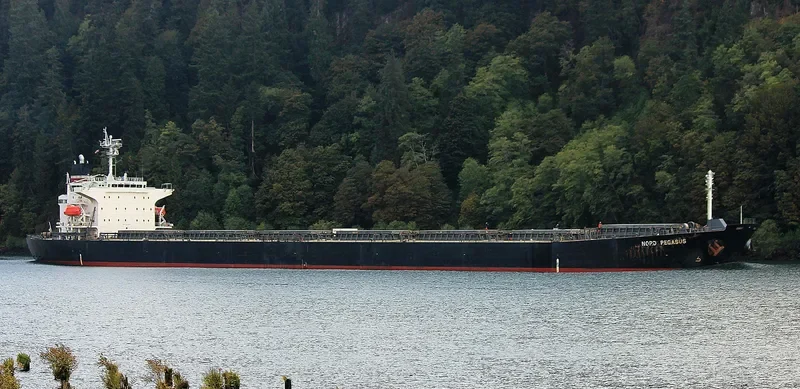 CANEA Bulk Carrier IMO 9336608 photo 7