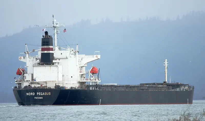 CANEA Bulk Carrier IMO 9336608 photo 8