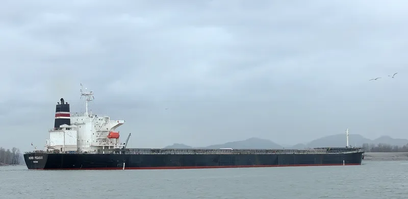 CANEA Bulk Carrier IMO 9336608 photo 9