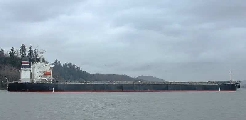 CANEA Bulk Carrier IMO 9336608 photo 10