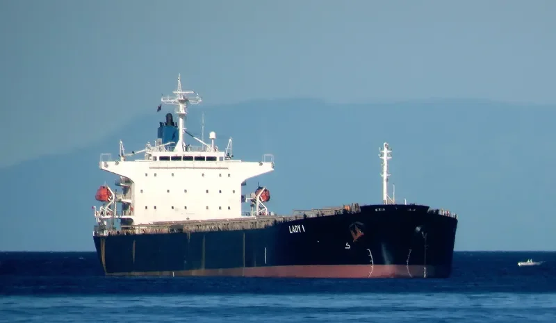 LADY I Bulk Carrier IMO 9336610