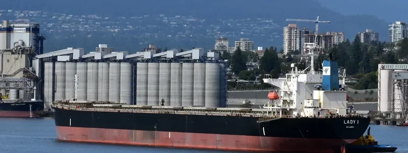 LADY I Bulk Carrier IMO 9336610 photo 2