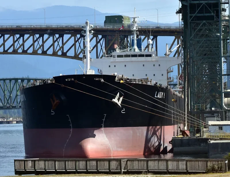 LADY I Bulk Carrier IMO 9336610 photo 4