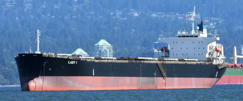 LADY I Bulk Carrier IMO 9336610 photo 5