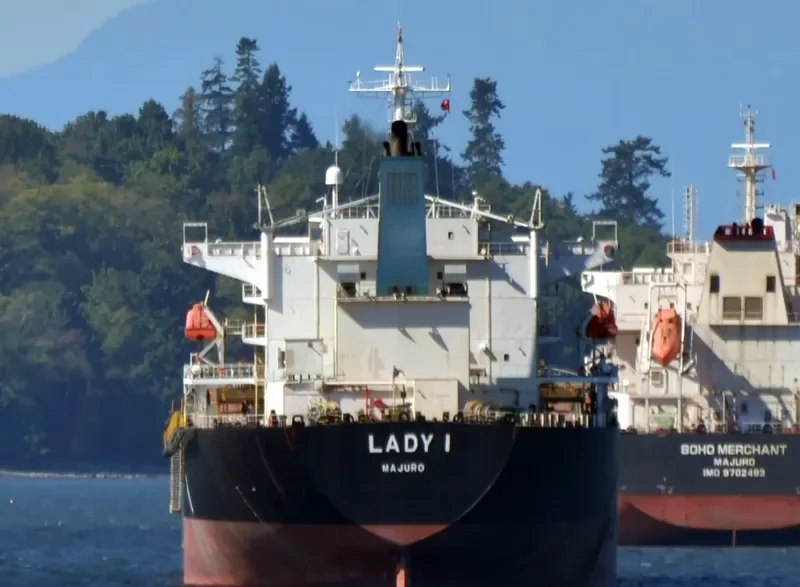 LADY I Bulk Carrier IMO 9336610 photo 6