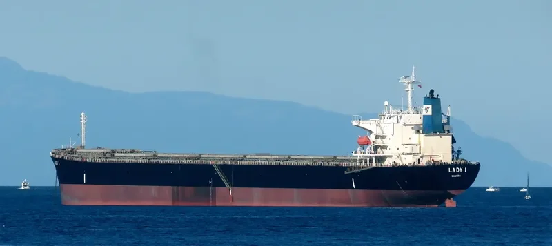 LADY I Bulk Carrier IMO 9336610 photo 7