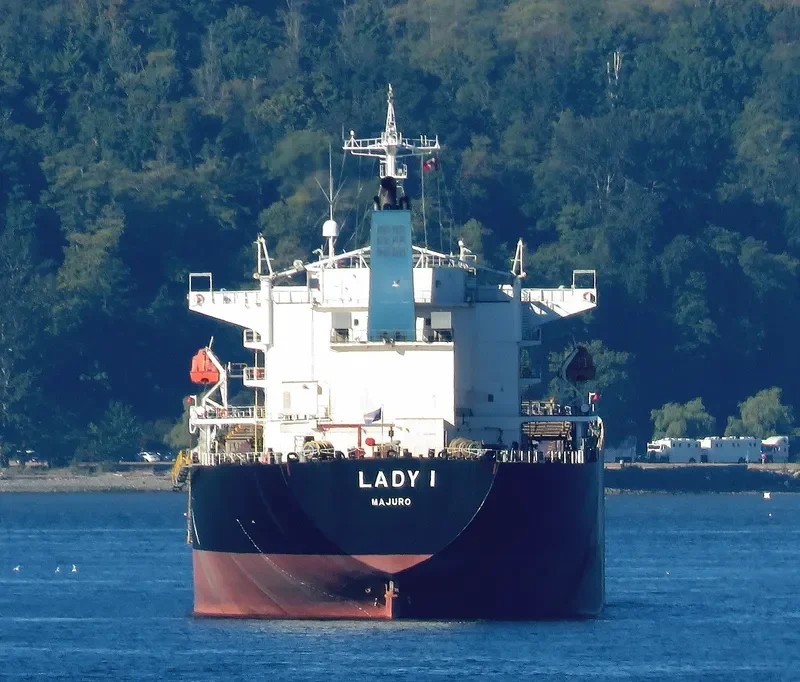 LADY I Bulk Carrier IMO 9336610 photo 8