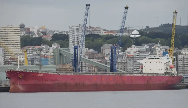 LADY I Bulk Carrier IMO 9336610 photo 9