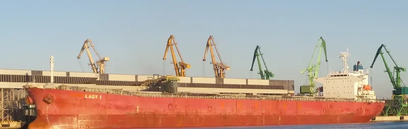 LADY I Bulk Carrier IMO 9336610 photo 10