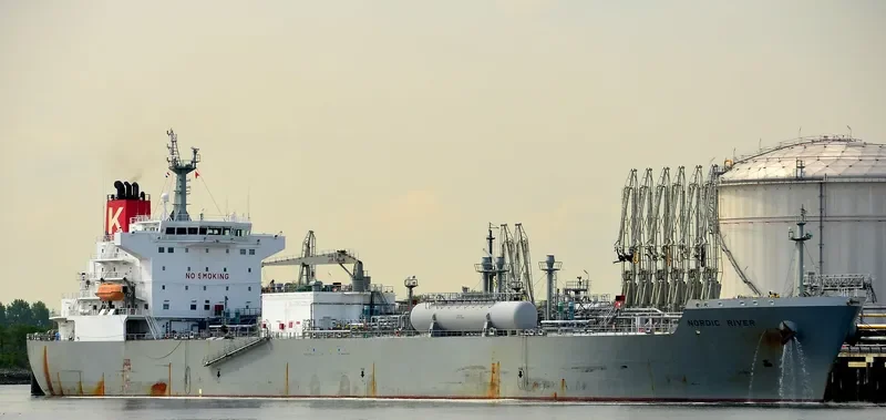 NORDICO General Cargo IMO 9336658 photo 7
