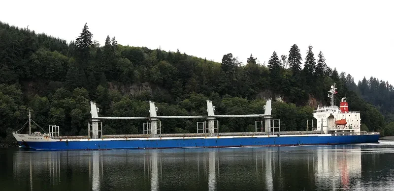 ALPHA BULKER Bulk Carrier IMO 9336763 photo 2