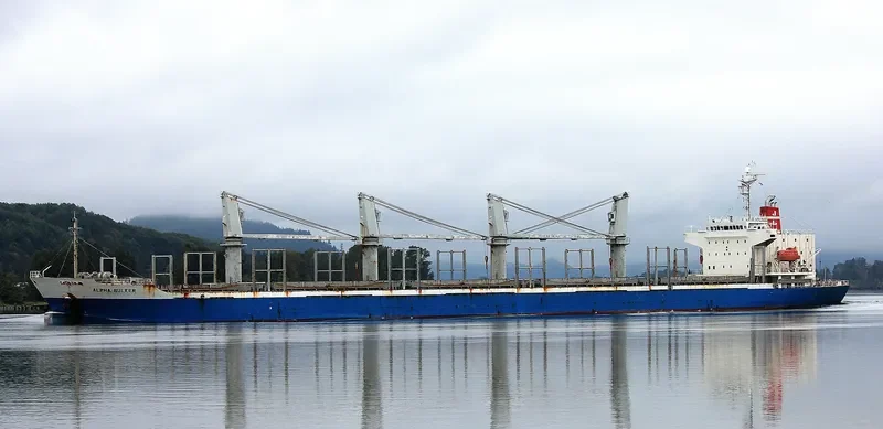 ALPHA BULKER Bulk Carrier IMO 9336763 photo 3