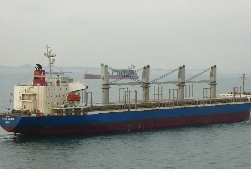 ALPHA BULKER Bulk Carrier IMO 9336763 photo 4
