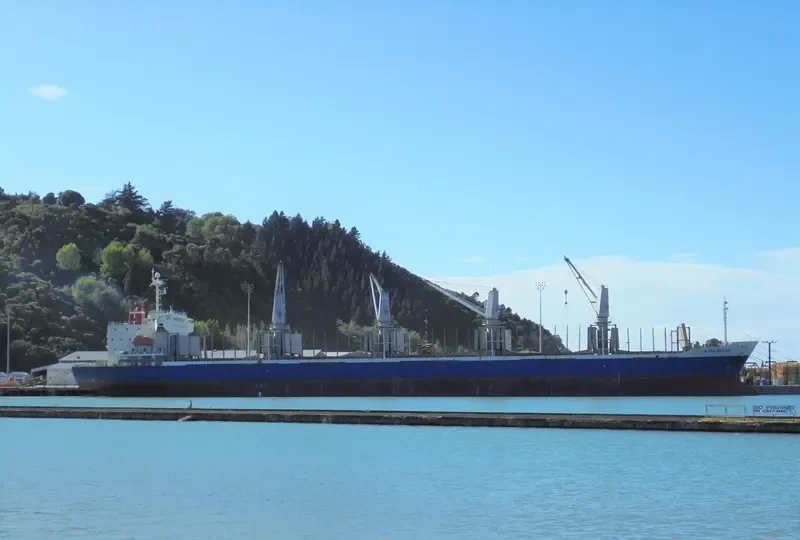 ALPHA BULKER Bulk Carrier IMO 9336763 photo 5