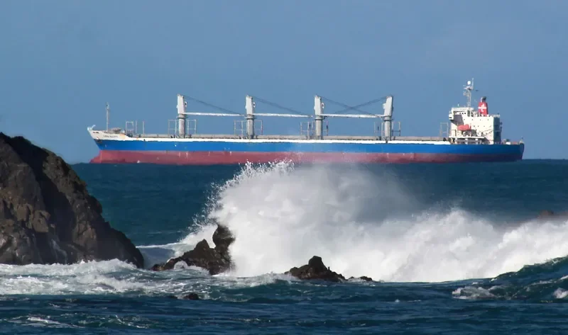 ALPHA BULKER Bulk Carrier IMO 9336763 photo 7