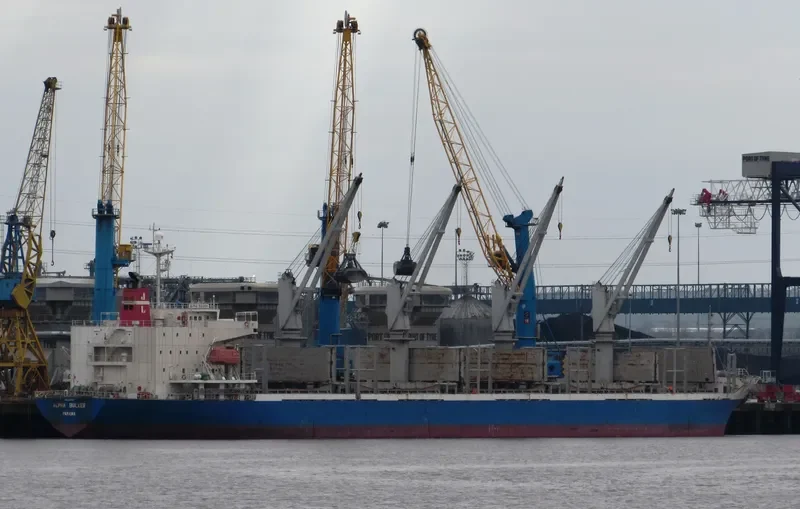 ALPHA BULKER Bulk Carrier IMO 9336763 photo 10