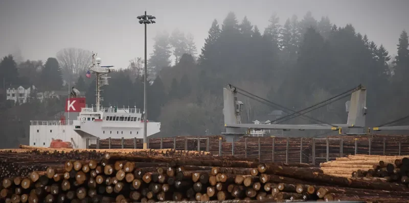 CINCH Bulk Carrier IMO 9336775 photo 2