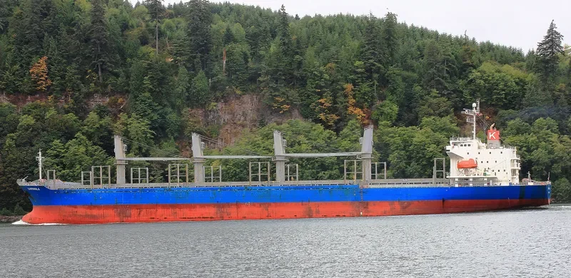 CINCH Bulk Carrier IMO 9336775 photo 3