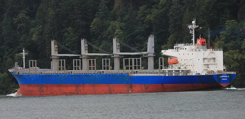 CINCH Bulk Carrier IMO 9336775 photo 4