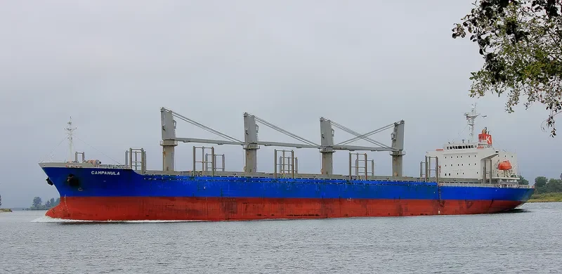 CINCH Bulk Carrier IMO 9336775 photo 5