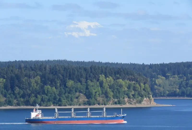 CINCH Bulk Carrier IMO 9336775 photo 7