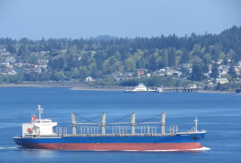 CINCH Bulk Carrier IMO 9336775 photo 8