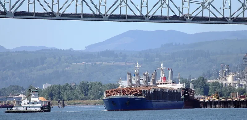CINCH Bulk Carrier IMO 9336775 photo 9