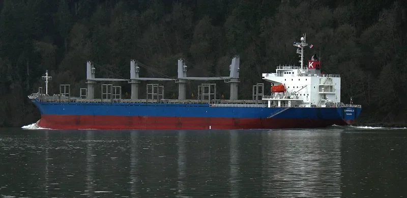 CINCH Bulk Carrier IMO 9336775 photo 10