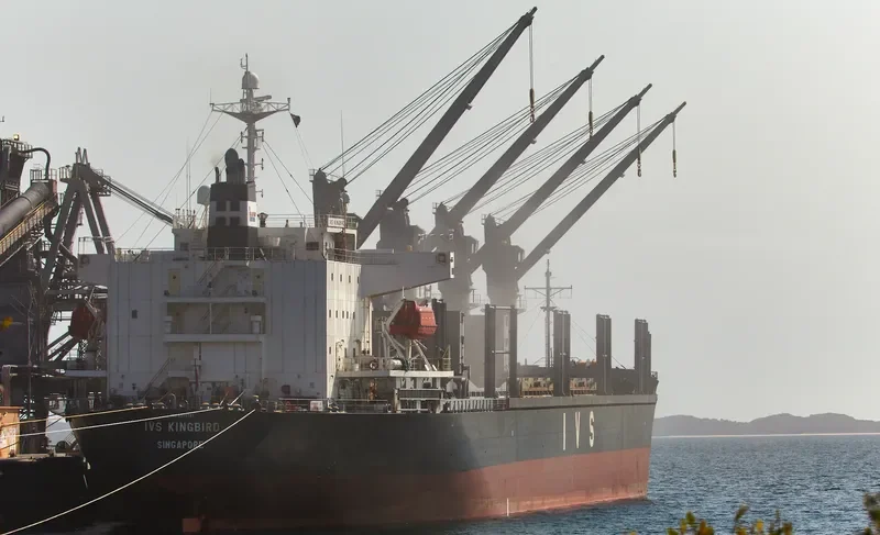 IVS KINGBIRD Bulk Carrier IMO 9336787 photo 2