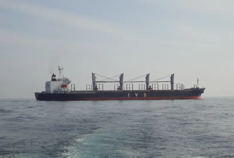 IVS KINGBIRD Bulk Carrier IMO 9336787 photo 4