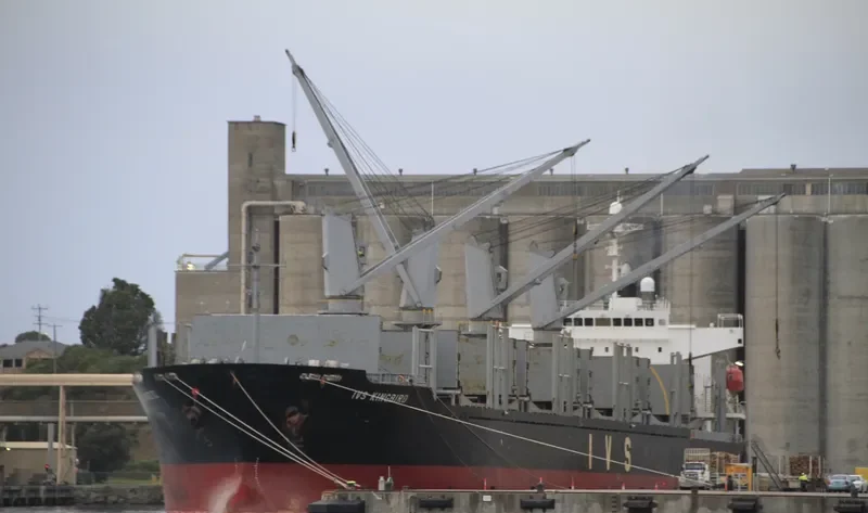 IVS KINGBIRD Bulk Carrier IMO 9336787 photo 6