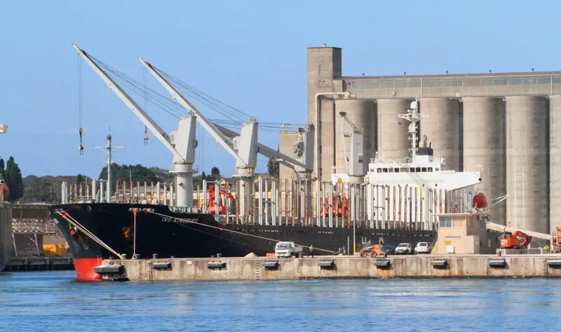 IVS KINGBIRD Bulk Carrier IMO 9336787 photo 7