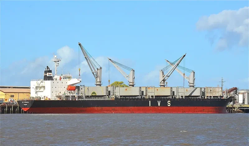 IVS KINGBIRD Bulk Carrier IMO 9336787 photo 9