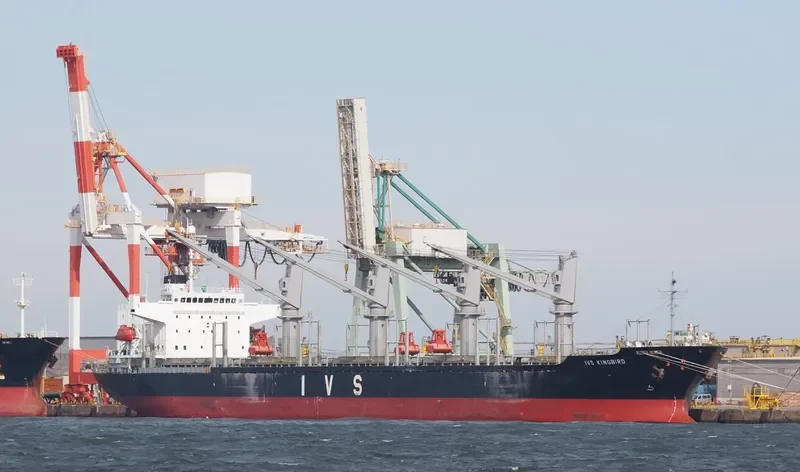 IVS KINGBIRD Bulk Carrier IMO 9336787 photo 10