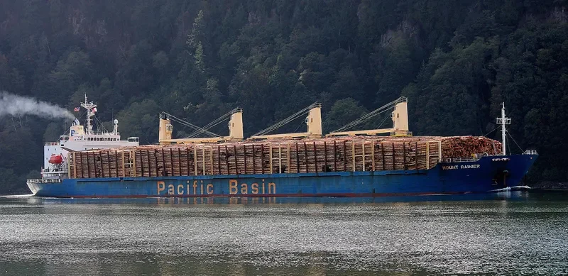 MOUNT RAINIER Bulk Carrier IMO 9336799
