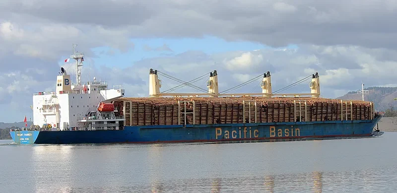 MOUNT RAINIER Bulk Carrier IMO 9336799 photo 2
