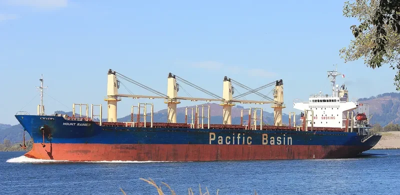 MOUNT RAINIER Bulk Carrier IMO 9336799 photo 3